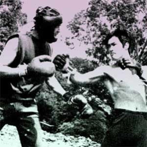 Bruce Lee Ted Wong Sparring