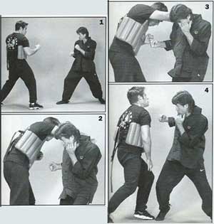 MarkStewart-JKD-Sequence