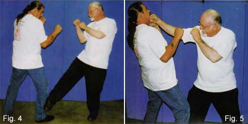 JKD WNG Leg Obstruction