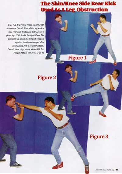 Shin Knee Side Kick - JKD Stop Kick